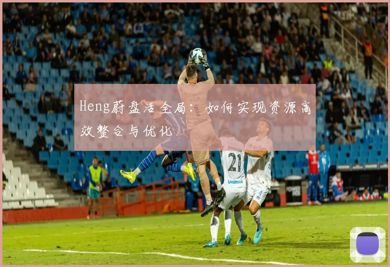 Heng蔚盘活全局：如何实现资源高效整合与优化