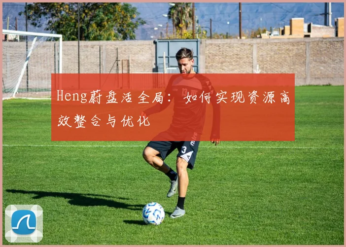 Heng蔚盘活全局：如何实现资源高效整合与优化