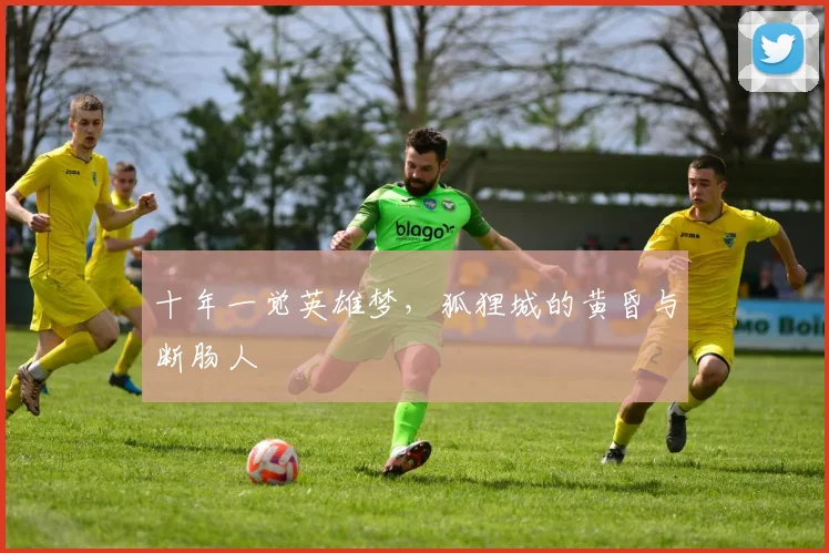 十年一觉英雄梦，狐狸城的黄昏与断肠人